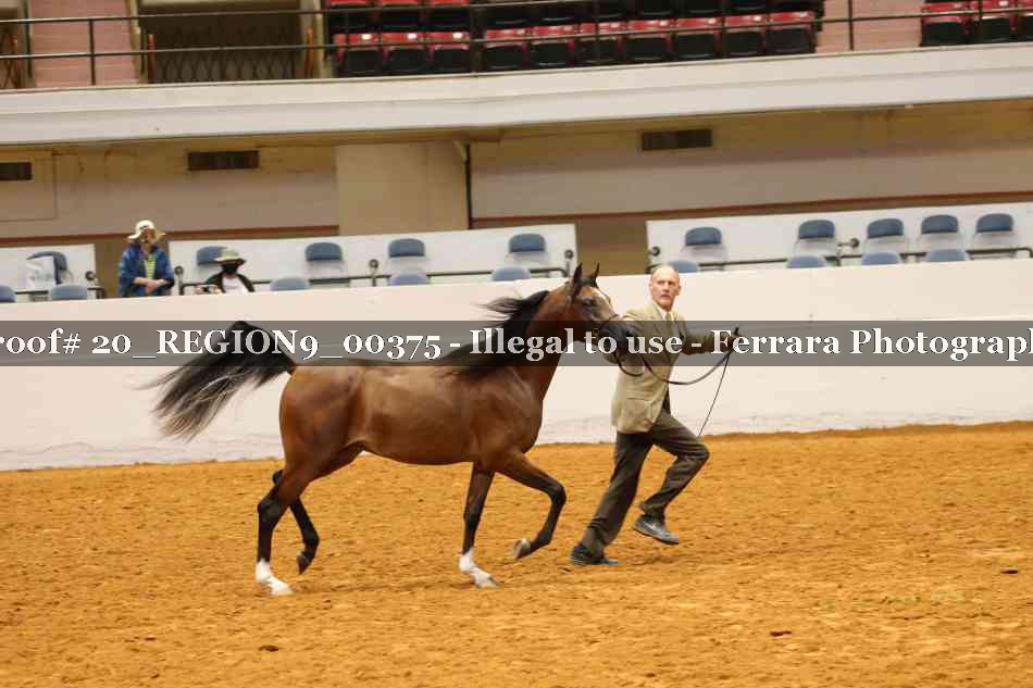 Proof 20_REGION9_00375