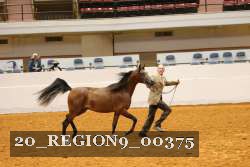 20_REGION9_00375 proof