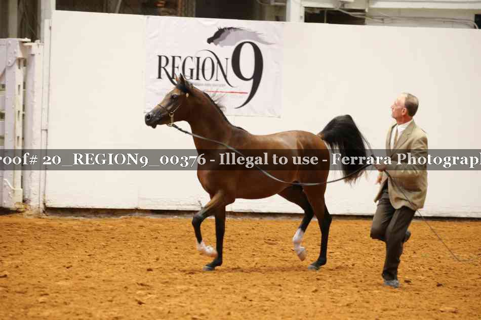 Proof 20_REGION9_00376