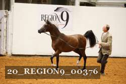 20_REGION9_00376 proof