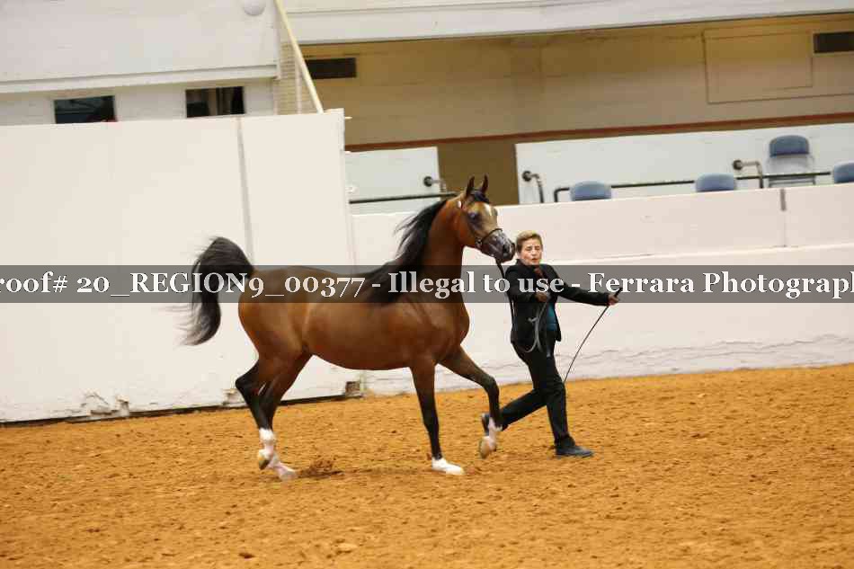 Proof 20_REGION9_00377