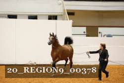 20_REGION9_00378 proof