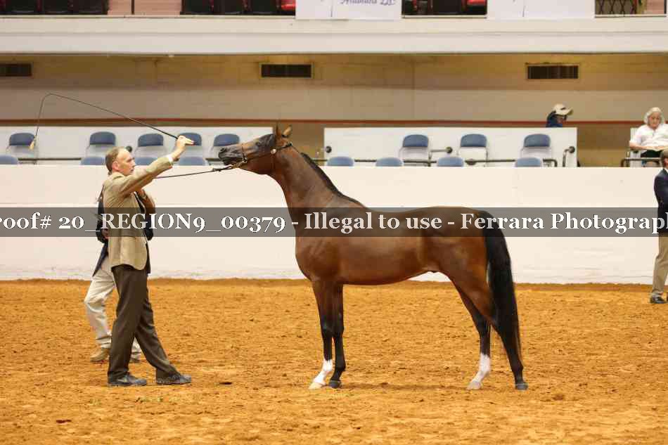 Proof 20_REGION9_00379