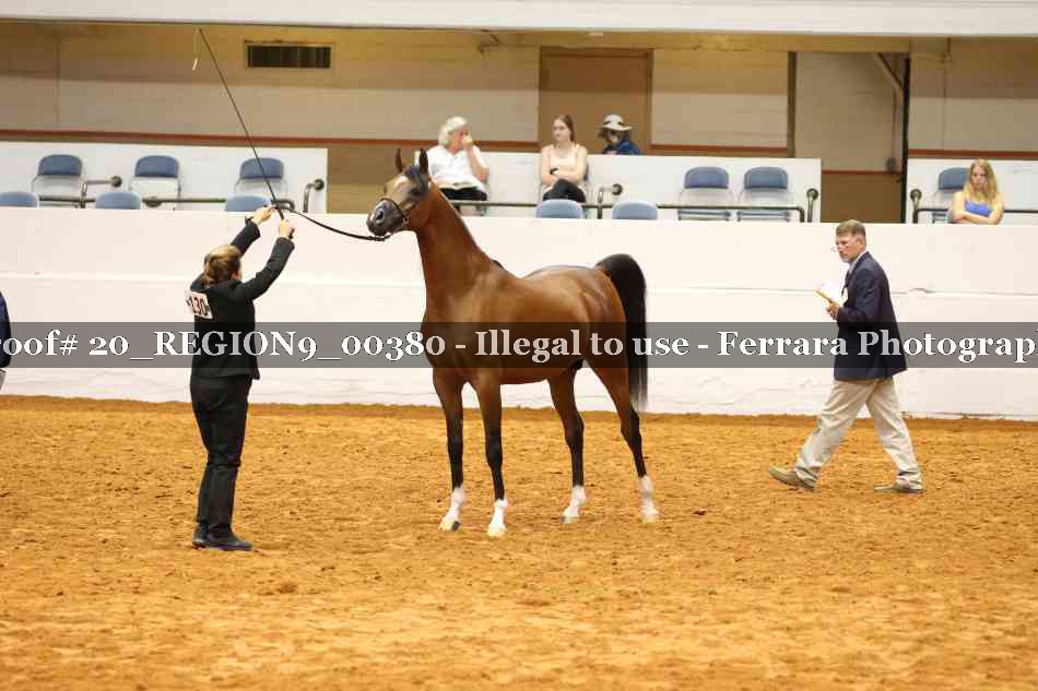 Proof 20_REGION9_00380