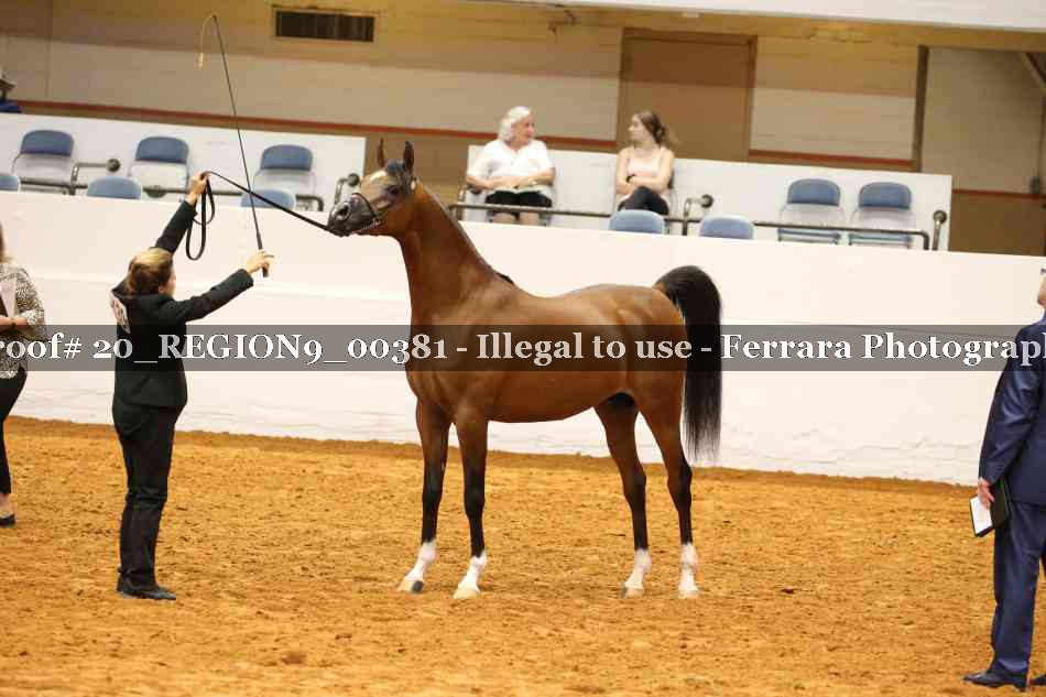 Proof 20_REGION9_00381