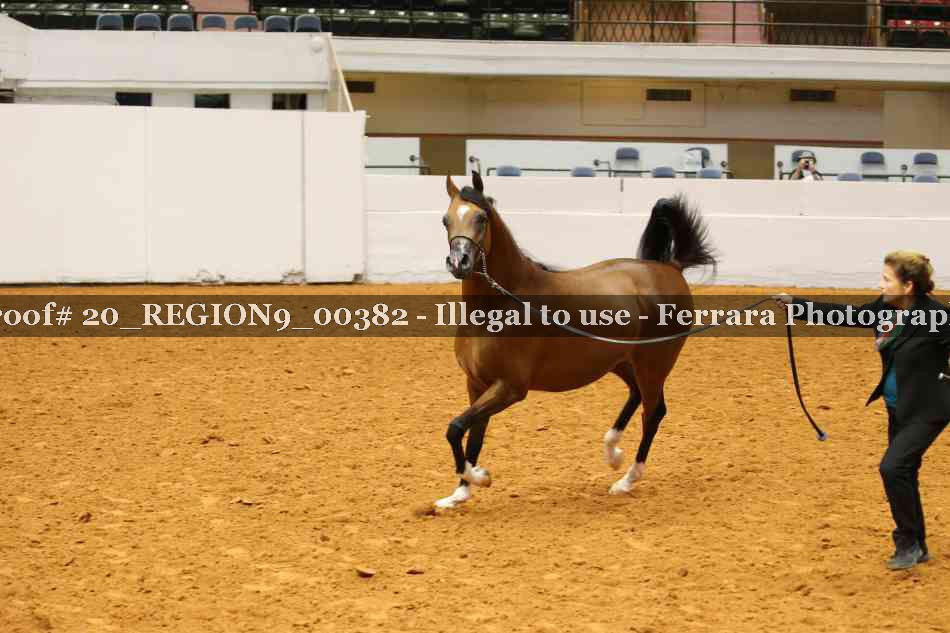 Proof 20_REGION9_00382