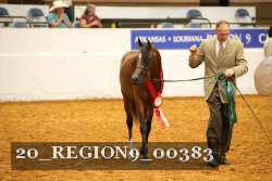 20_REGION9_00383 proof