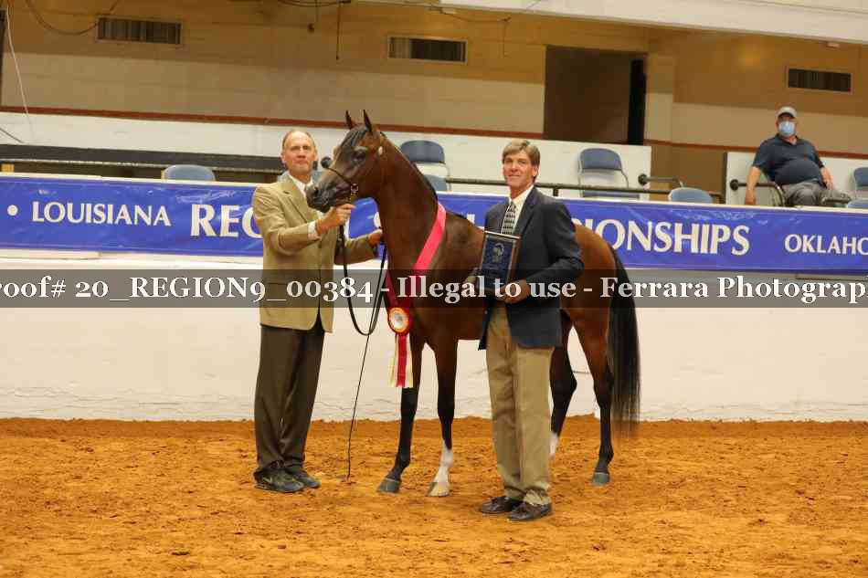 Proof 20_REGION9_00384