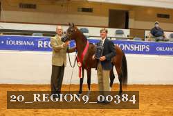 20_REGION9_00384 proof