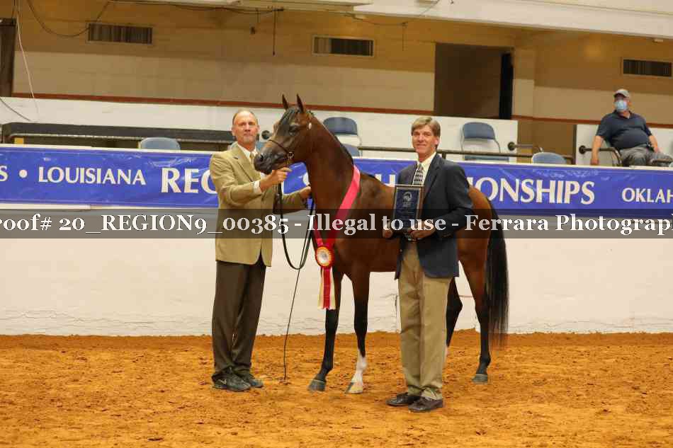Proof 20_REGION9_00385
