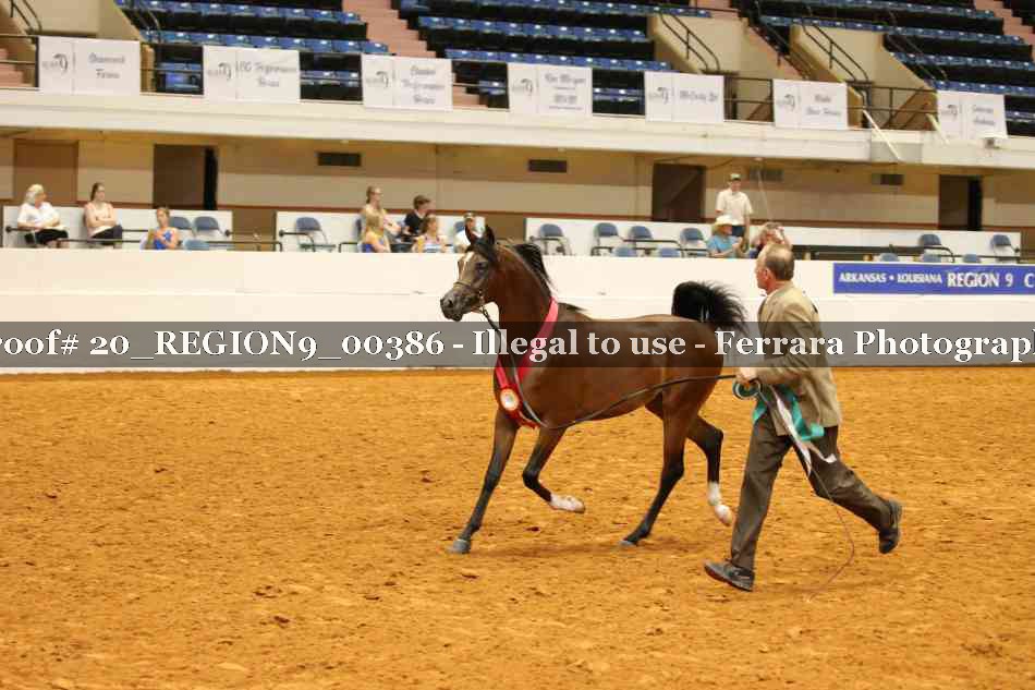 Proof 20_REGION9_00386