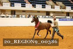 20_REGION9_00386 proof