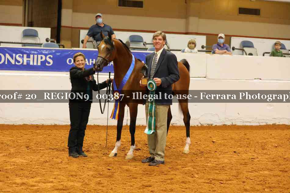 Proof 20_REGION9_00387