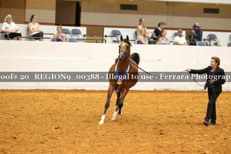 Proof 20_REGION9_00388