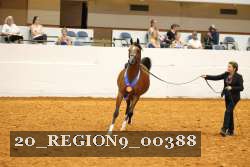 20_REGION9_00388 proof