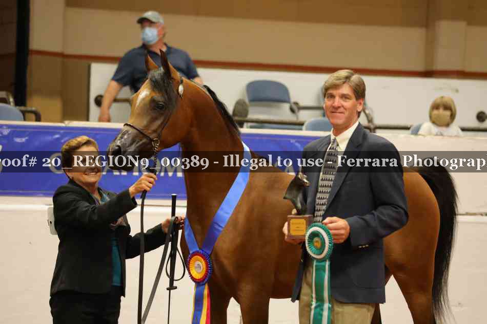 Proof 20_REGION9_00389