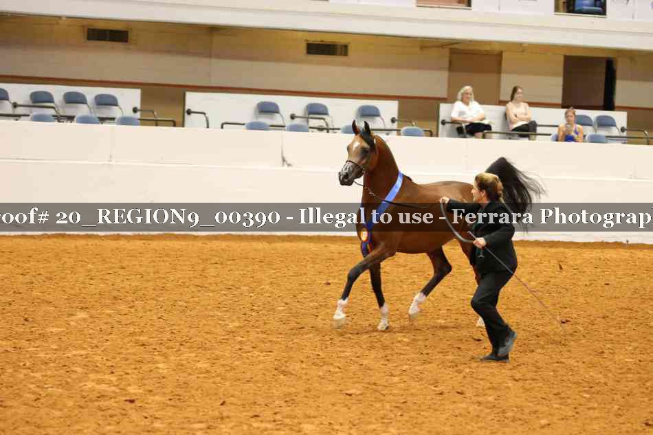 Proof 20_REGION9_00390