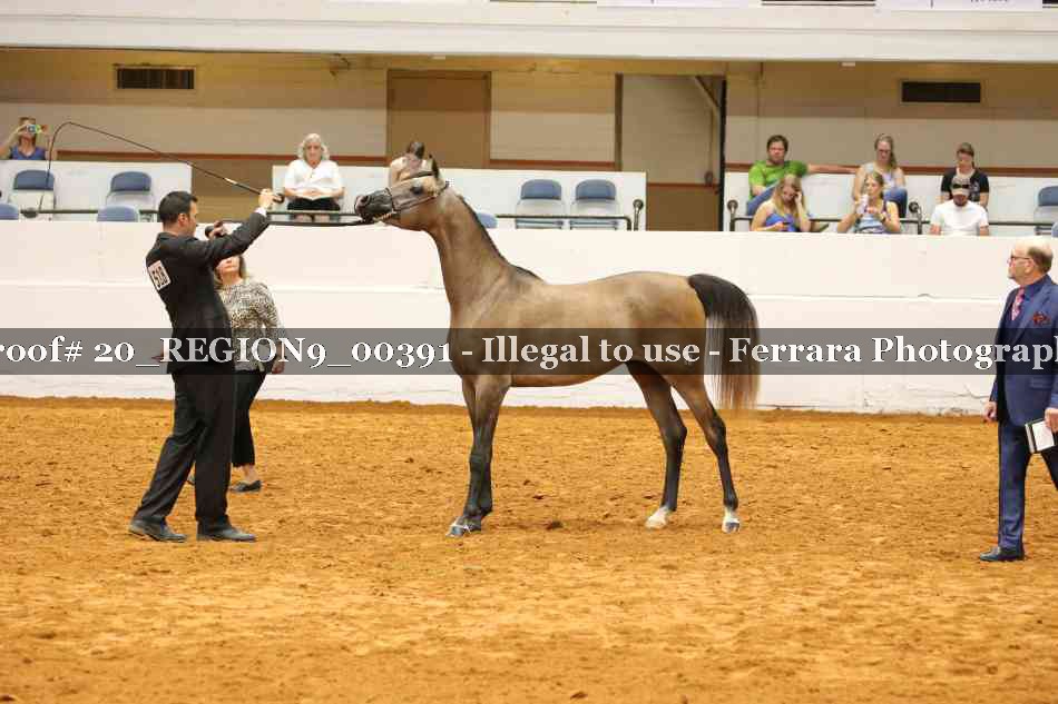 Proof 20_REGION9_00391