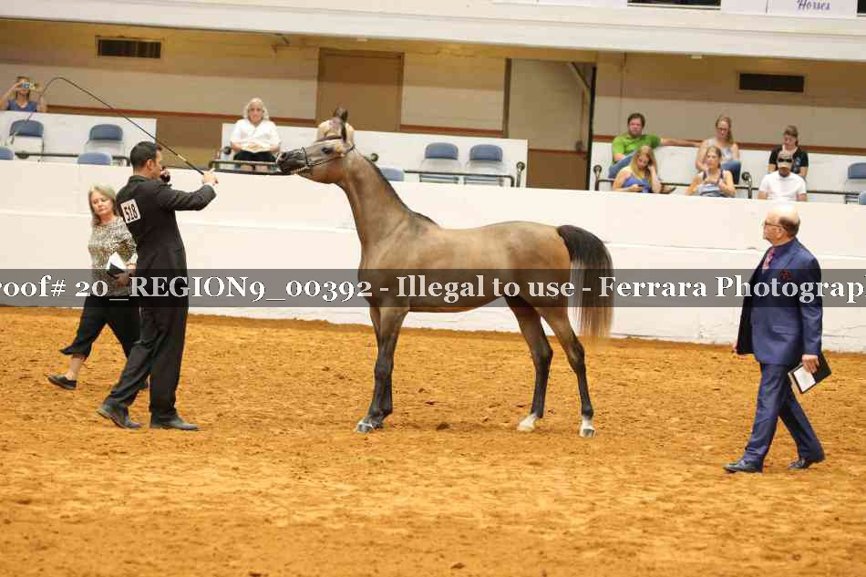 Proof 20_REGION9_00392