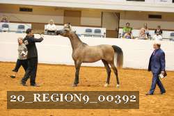 20_REGION9_00392 proof