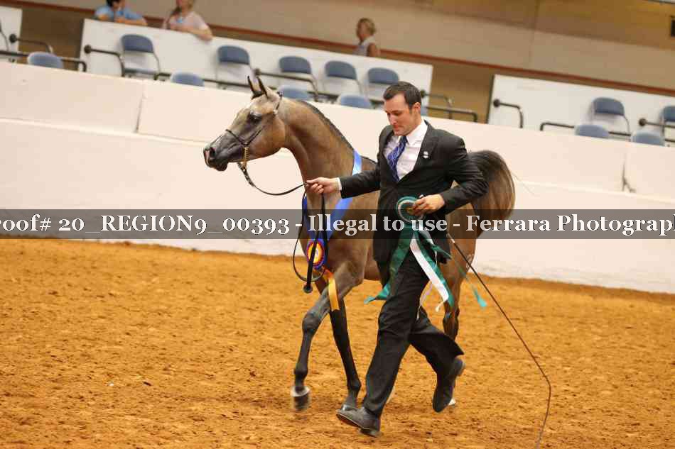 Proof 20_REGION9_00393