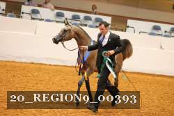 20_REGION9_00393 proof