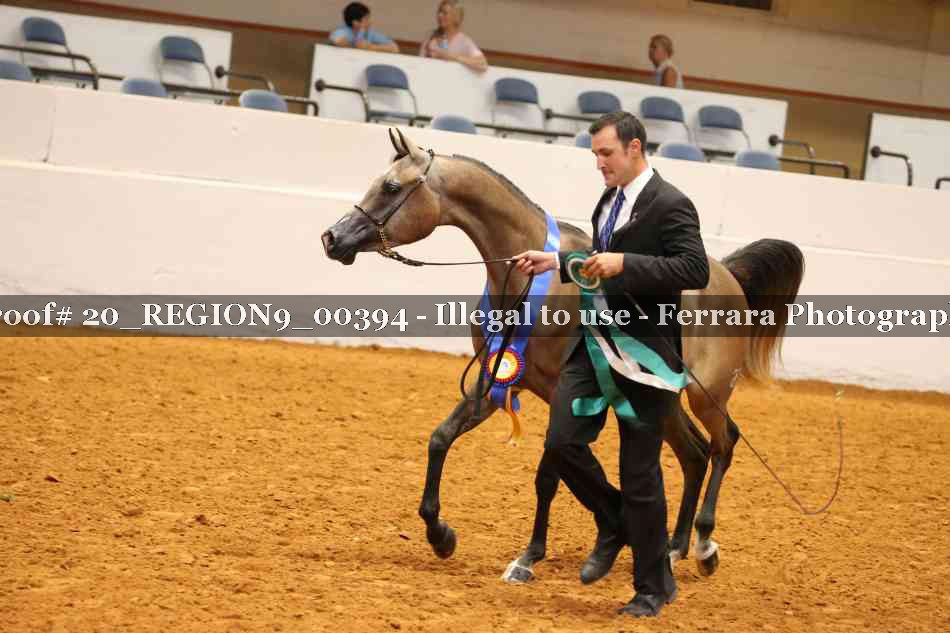 Proof 20_REGION9_00394