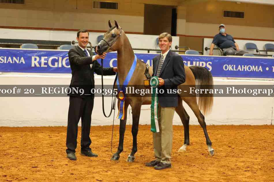 Proof 20_REGION9_00395