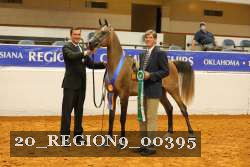 20_REGION9_00395 proof