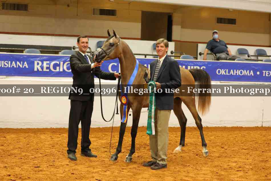 Proof 20_REGION9_00396