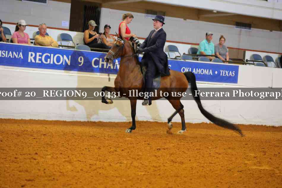 Proof 20_REGION9_00431