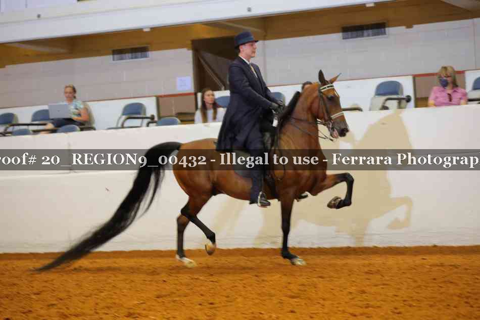 Proof 20_REGION9_00432