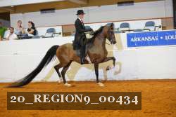 20_REGION9_00434 proof
