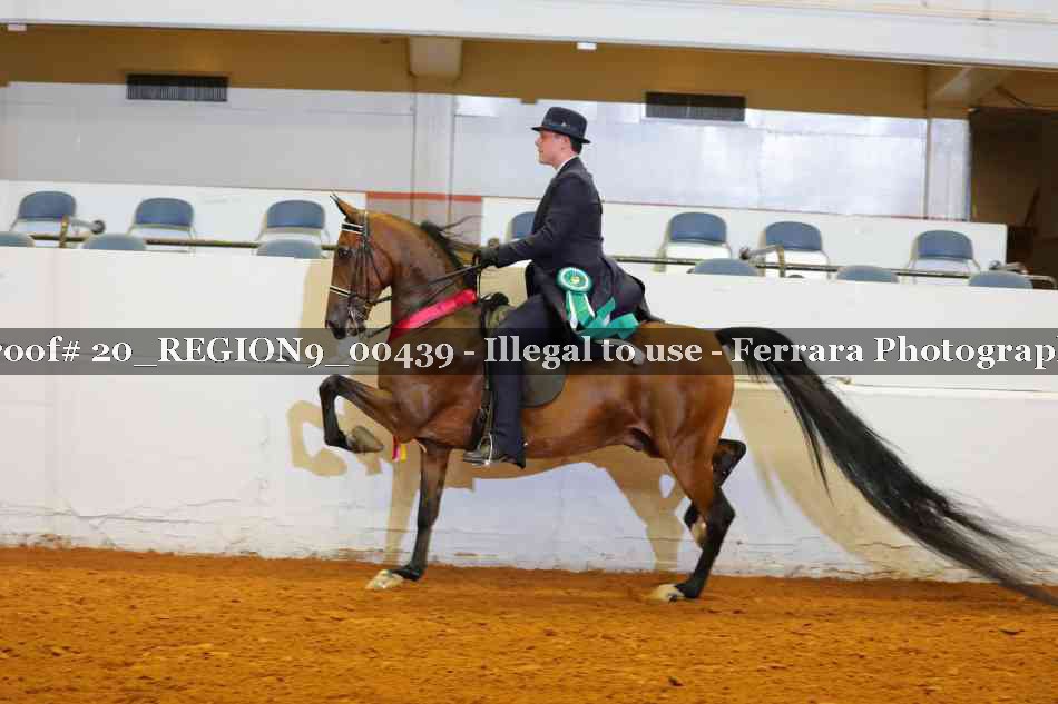 Proof 20_REGION9_00439
