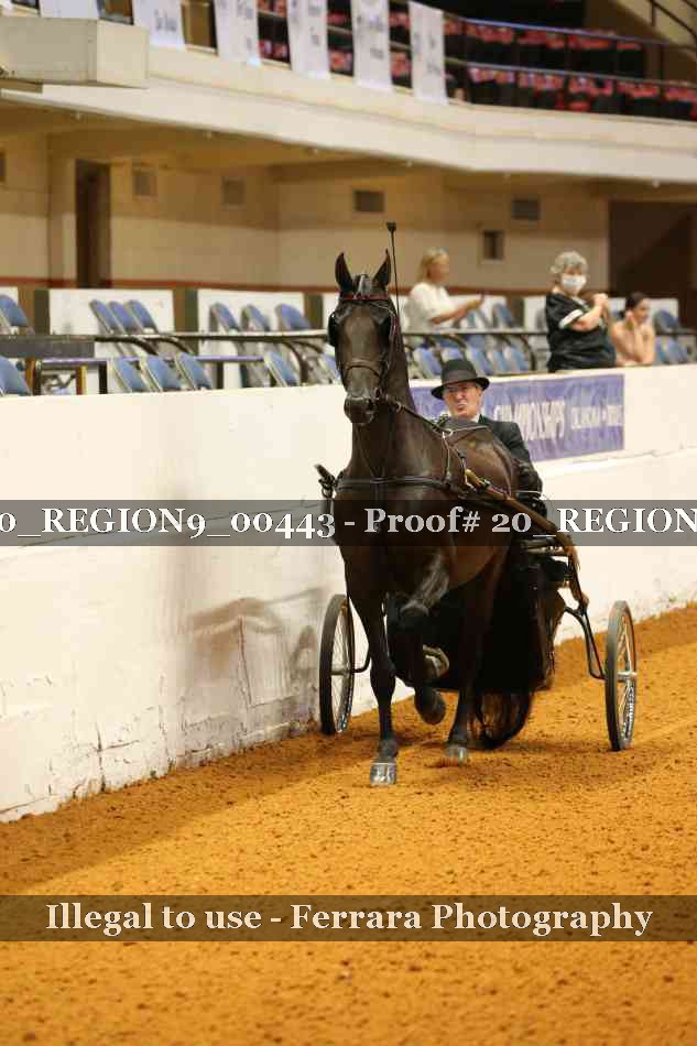Proof 20_REGION9_00443