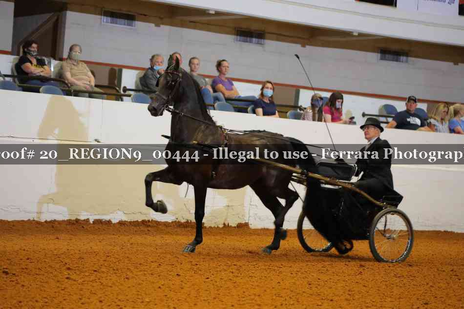 Proof 20_REGION9_00444