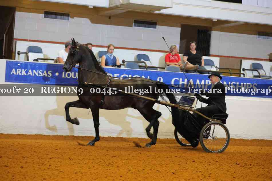 Proof 20_REGION9_00445