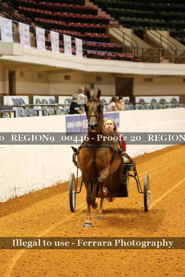 Proof 20_REGION9_00446