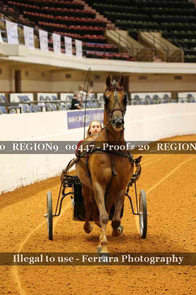 Proof 20_REGION9_00447