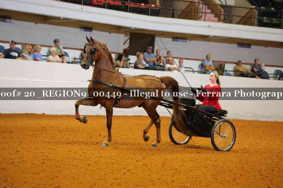 Proof 20_REGION9_00449