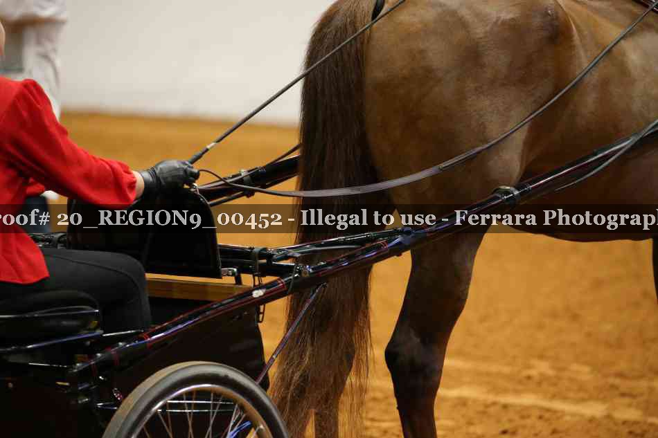 Proof 20_REGION9_00452