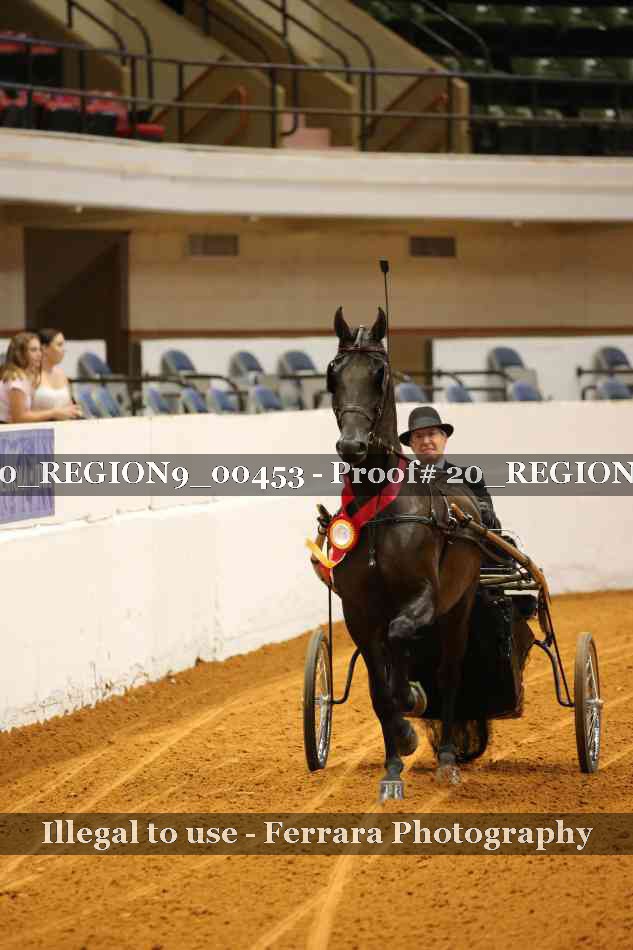 Proof 20_REGION9_00453