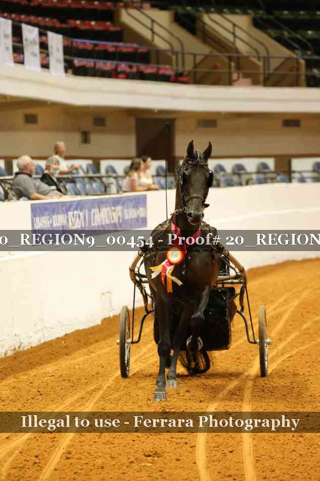 Proof 20_REGION9_00454