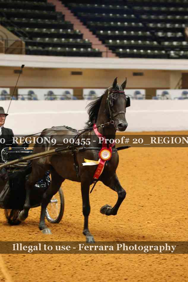 Proof 20_REGION9_00455