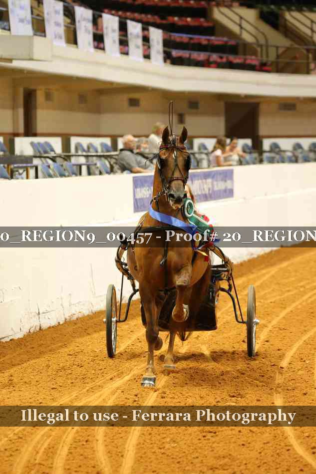 Proof 20_REGION9_00457