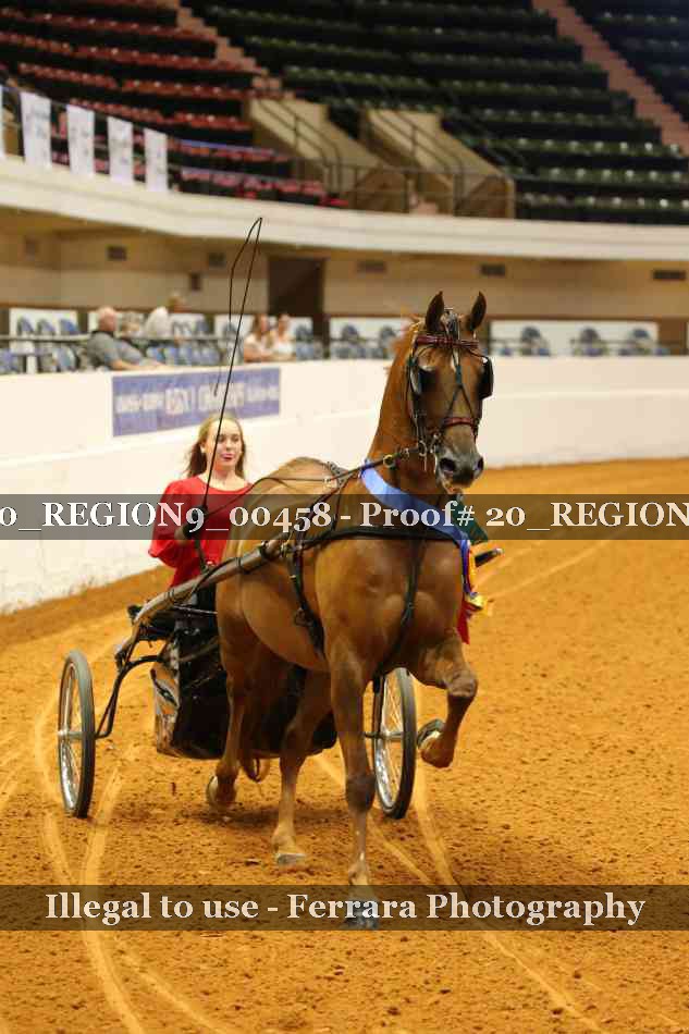 Proof 20_REGION9_00458