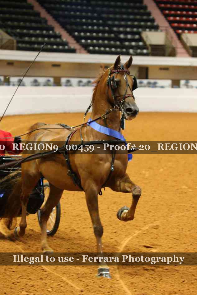 Proof 20_REGION9_00459