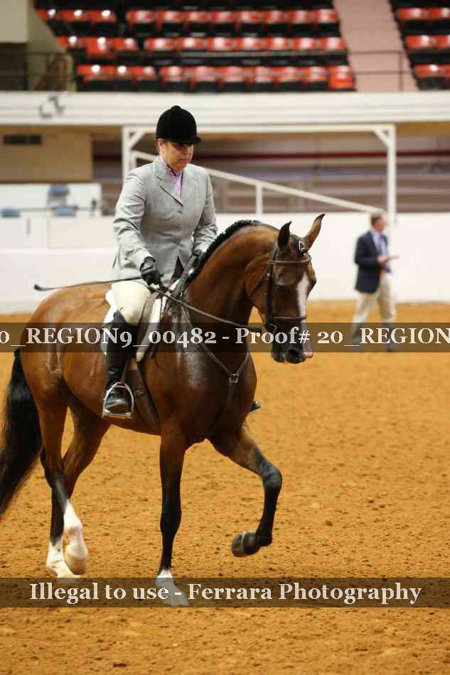 Proof 20_REGION9_00482