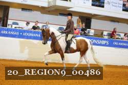 20_REGION9_00486 proof