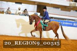 20_REGION9_00515 proof
